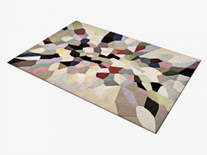 carpetfiona-curran-pallette-rug Model 3D
