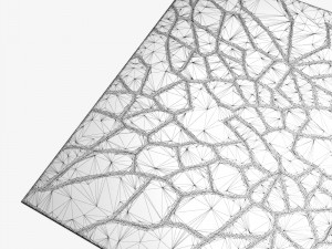 carpetfiona-curran-pallette-rug Model 3D