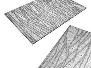 carpet 3D Model