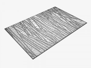 carpet 3D Model