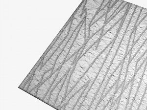 carpet 3D Model