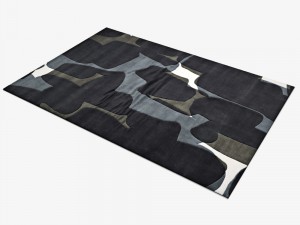 carpetdcacshadow 3D 模型