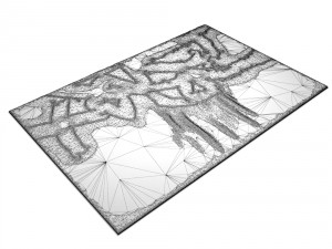 carpetsc Modelo 3D