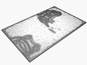 carpetfrog-rug 3D 모델