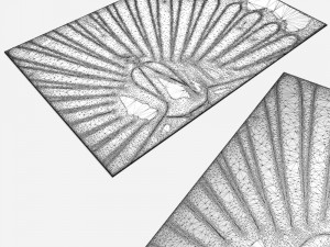 carpetdcbarbosgpeacock 3D Model