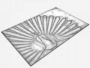 carpetdcbarbosgpeacock 3D Model