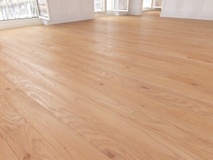 floor 1 without plugins 3D Модель