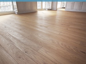 floor 1 without plugins 3D Модель