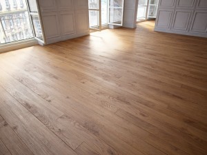 floor 3 without plugins Modèle 3D