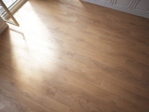 floor 4 without plugins 3D Model