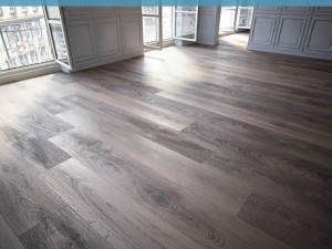 floor 5 without plugins Model 3D