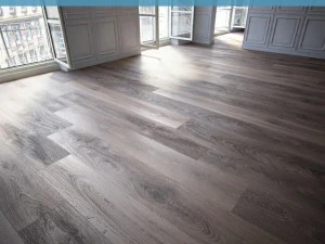 floor 5 without plugins 3D Model