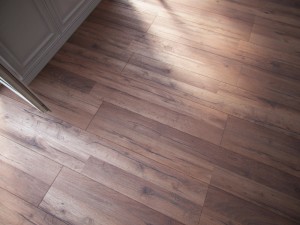 floor 5 without plugins Model 3D