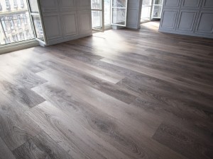 floor 5 without plugins Model 3D
