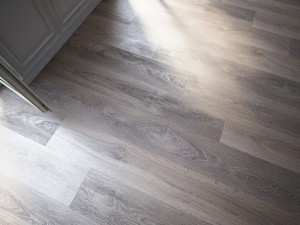 floor 5 without plugins Model 3D