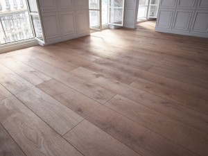 floor 6 without plugins 3D Model