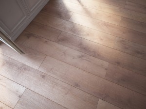 floor 6 without plugins 3D Model