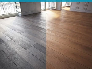 प्लगइन्स के बिना मंजिल 10 3D मॉडल