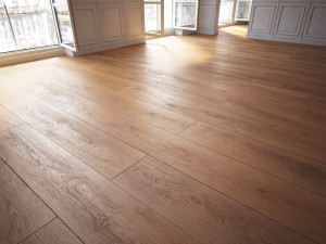 floor 10 without plugins Model 3D