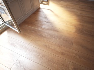 floor 10 without plugins Model 3D