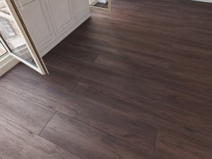 floor 13 without plugins 3D Model
