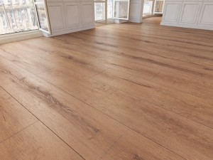 floor 15 without plugins 3D 模型