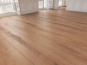 floor 15 without plugins 3D 模型