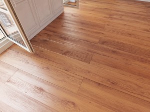 floor 19 without plugins Model 3D