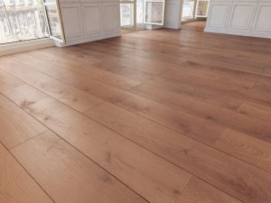 floor 19 without plugins Model 3D
