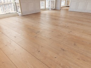 floor 21 without plugins 3D Model