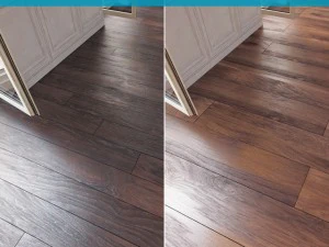 플러그인이 없는 24층 3D 모델