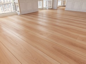floor 25 without plugins Model 3D