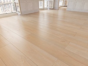 floor 25 without plugins Model 3D
