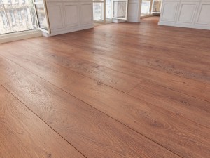 floor 27 without plugins 3D Model