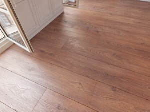 floor 27 without plugins 3D Model