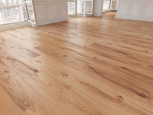 floor 29 without plugins 3D Модель