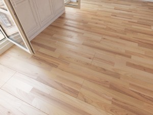 floor 30 without plugins 3D Model