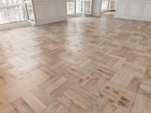 floor 37 without plugins Model 3D