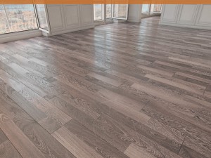 floor 55 without plugins Modelo 3D