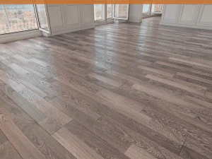 piso 55 sin complementos Modelo 3D