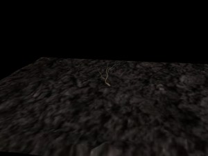 tree growth animition Modello 3D