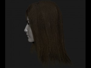 realistic head cute asian girl Modelo 3D