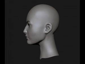 realistic head cute asian girl 3D Model
