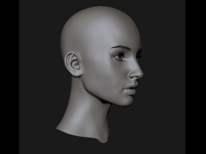 realistic head cute girl 3D Model