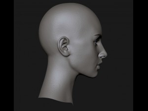 realistic head cute girl 3D Model