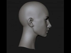cabeza realista linda chica Modelo 3D