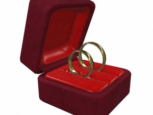 gold rings Modelo 3D