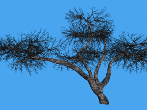 game ready tree pack 3D-Modell