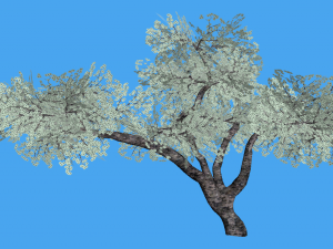 game ready tree pack 3D-Modell