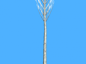 game ready tree pack 3D-Modell